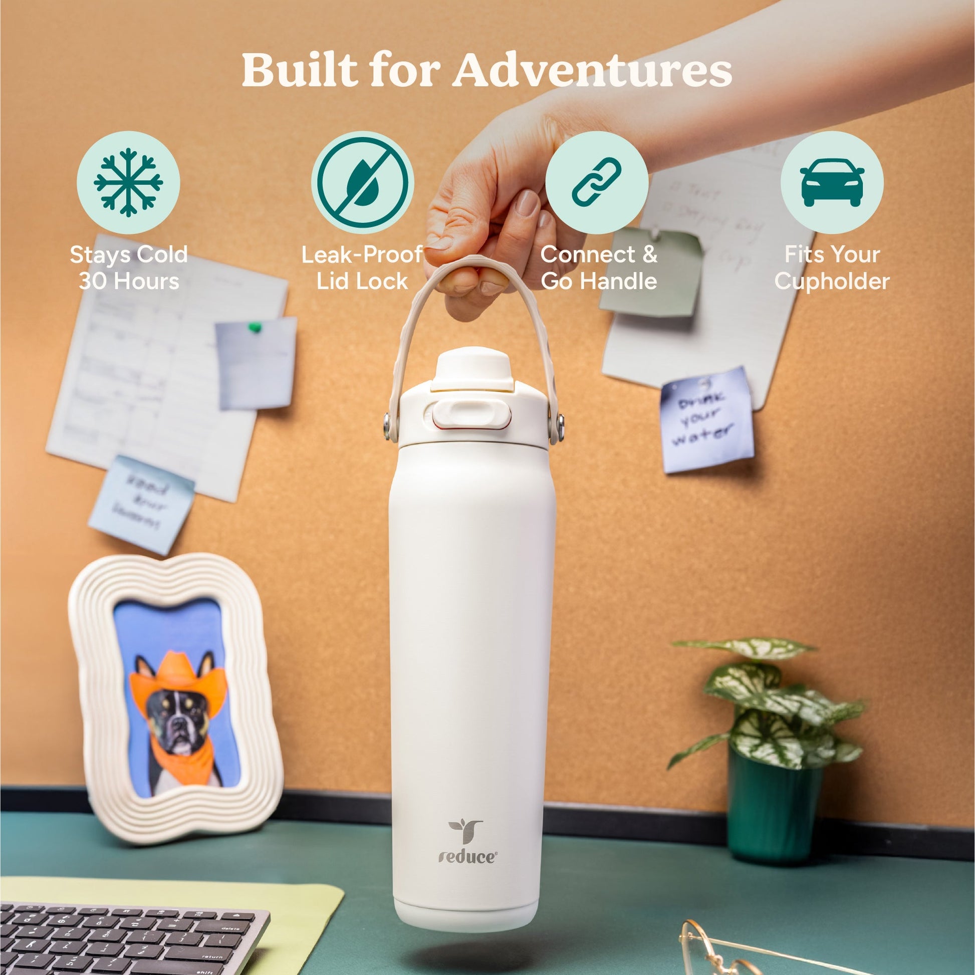 aura-26-oz-x3 Aura_26oz_Unbleached_PDP_Infographic_1.jpg