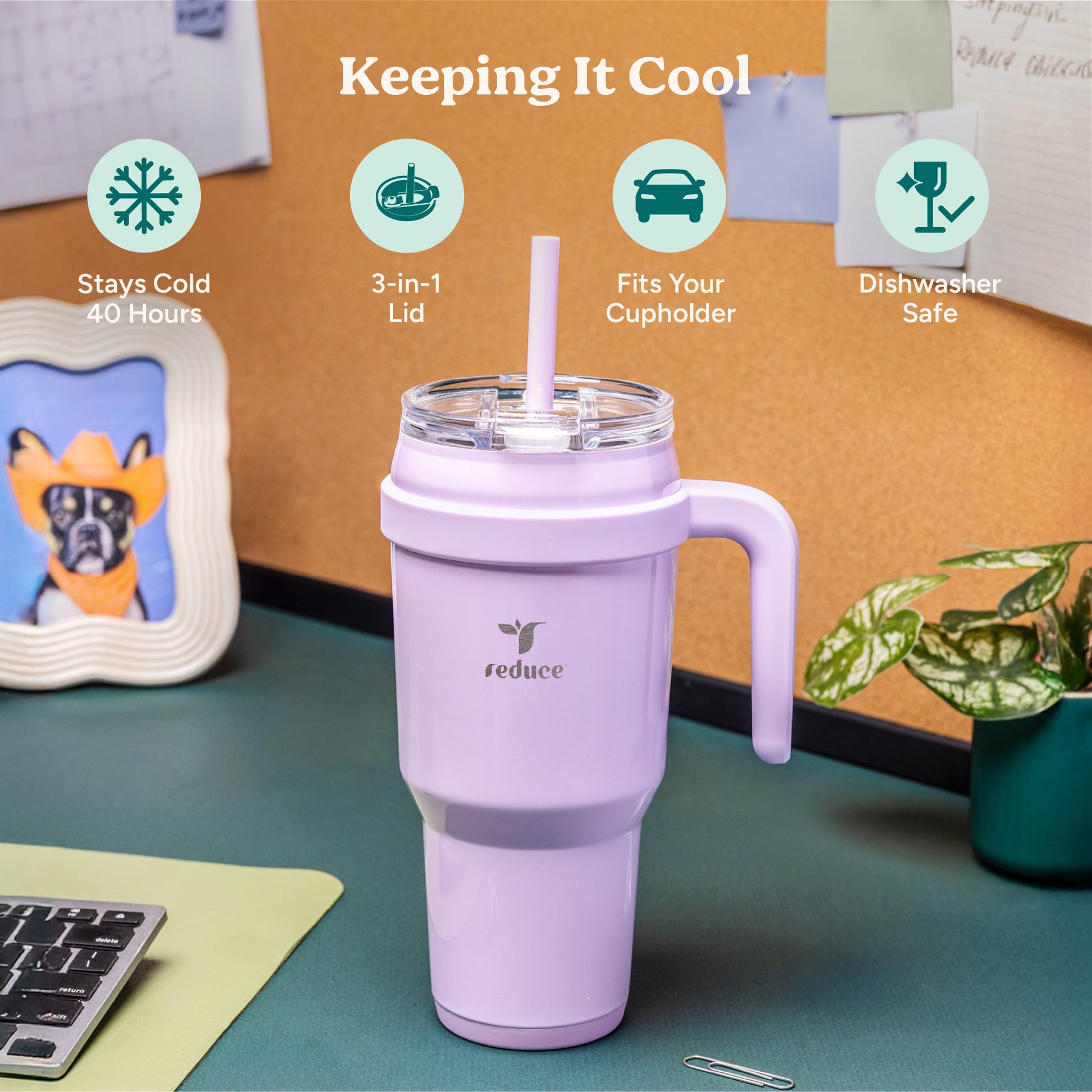 cold1-40-oz-l6 Cold1_40oz_LilacBud_Infographic_1.jpg
