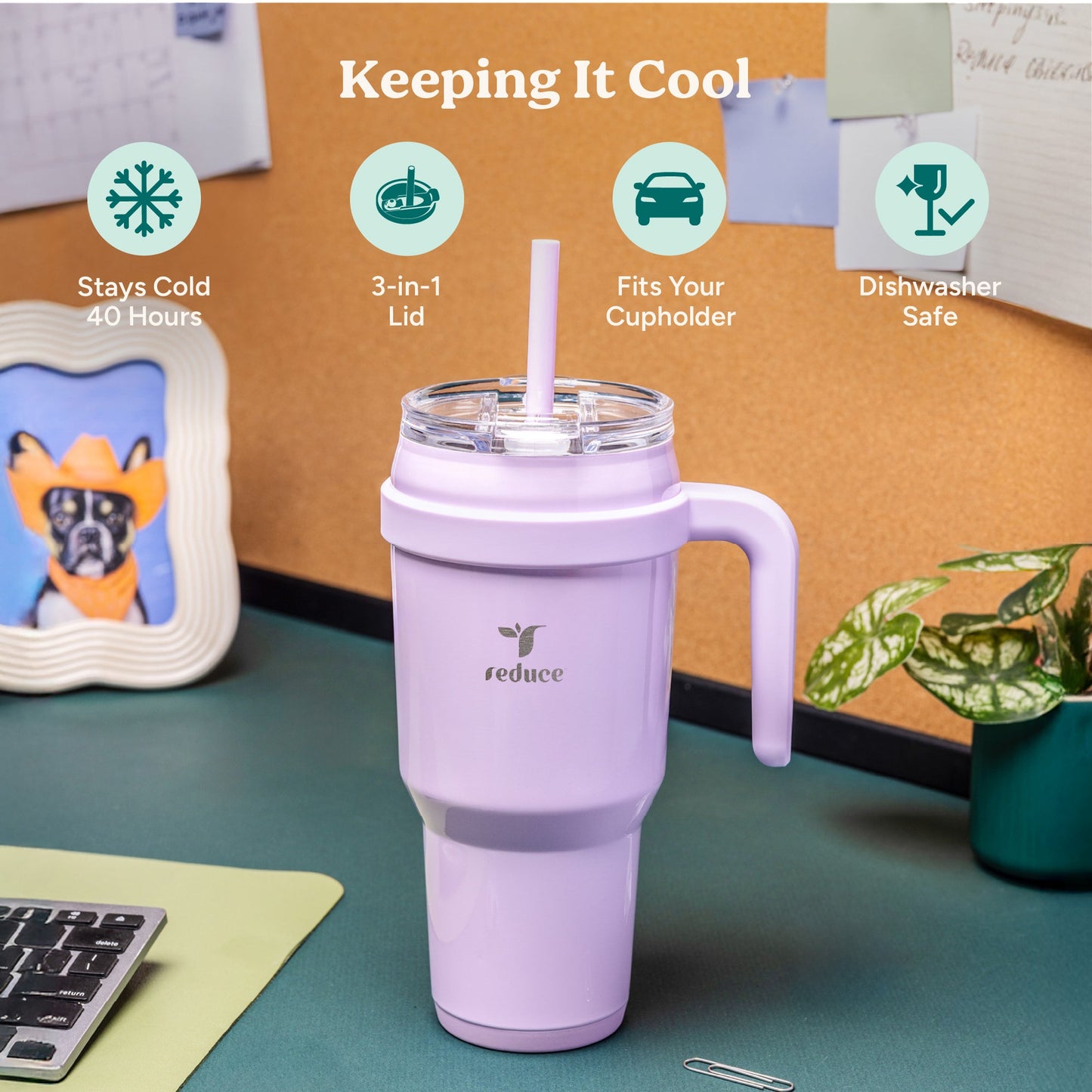 cold1-40-oz-l6 Cold1_40oz_PalmLeaf_Infographic_1.jpg
