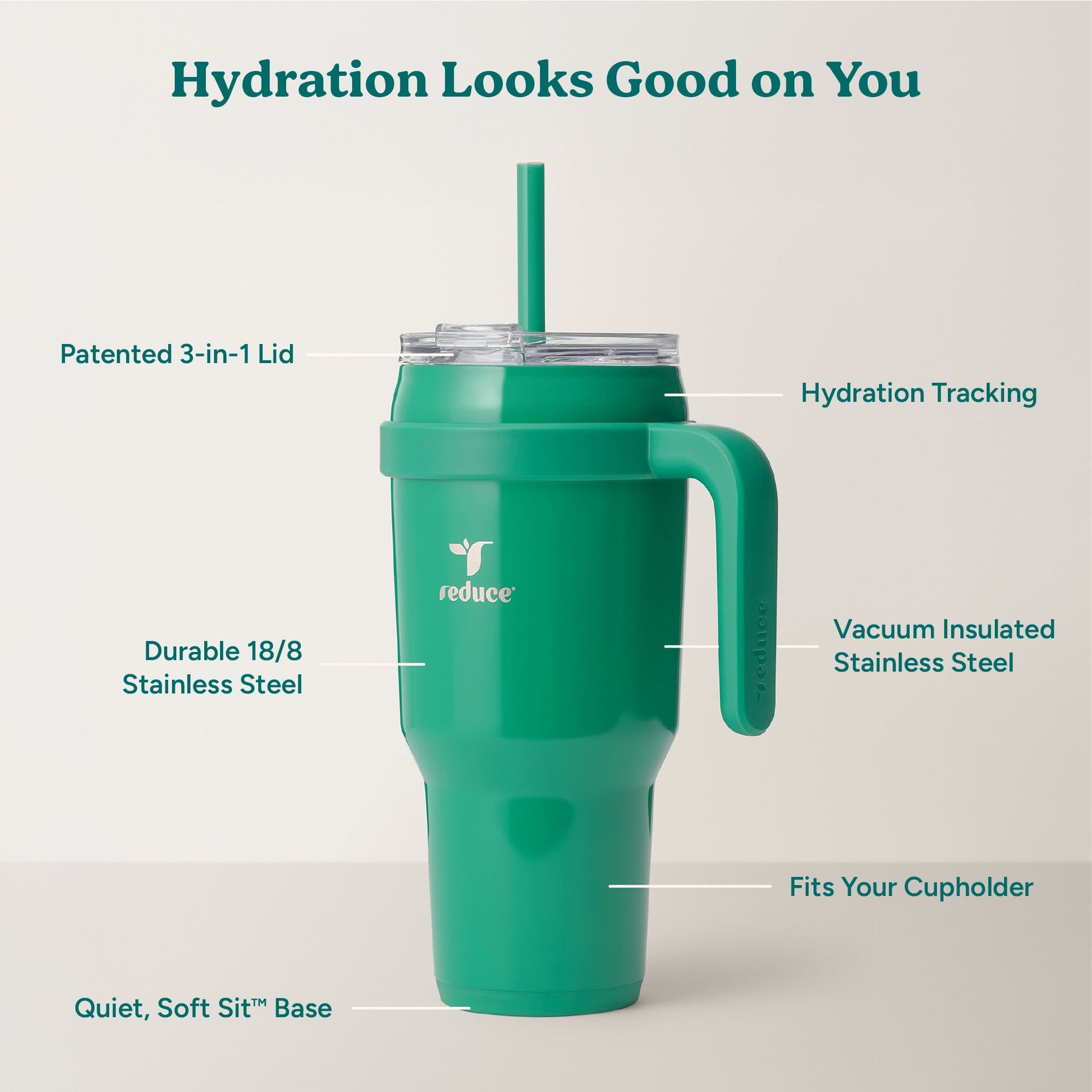 cold1-40-oz-l6 Cold1_40oz_PalmLeaf_Infographic_2.jpg