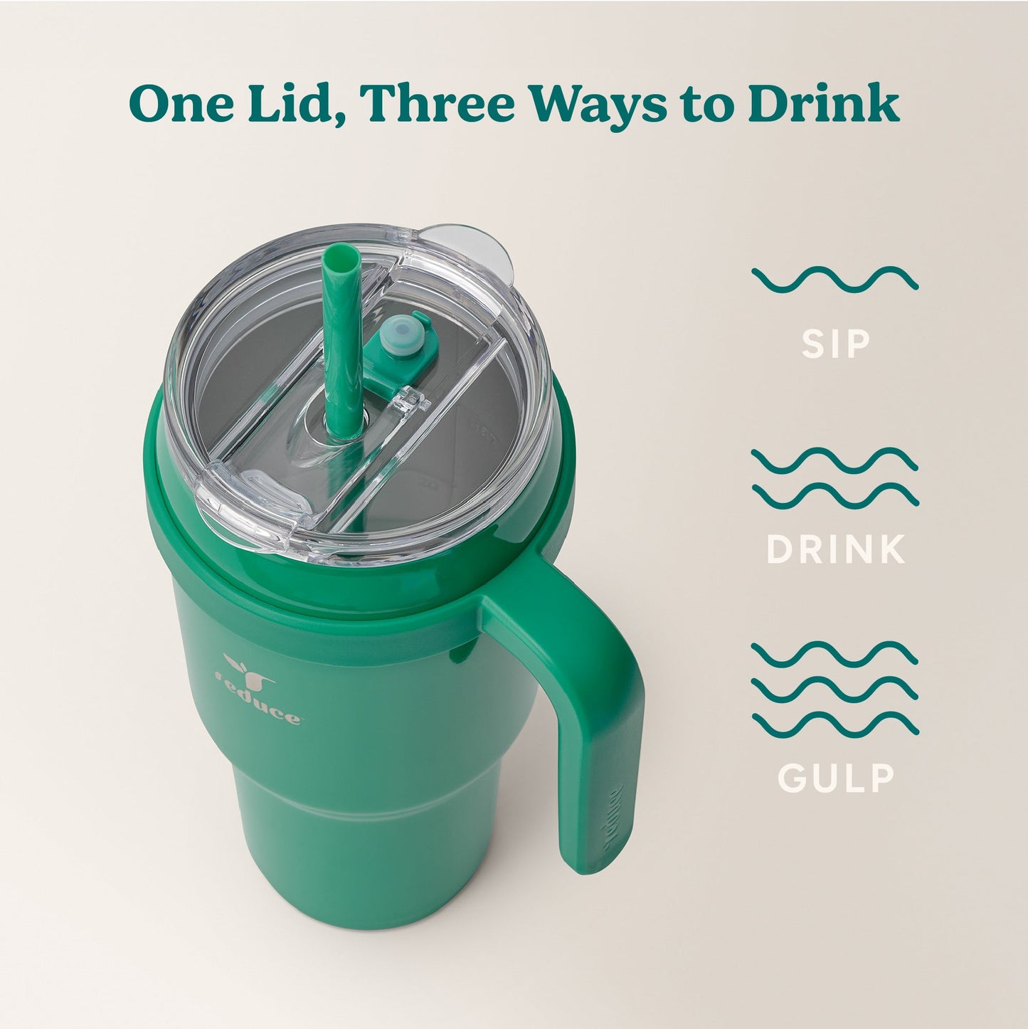 cold1-40-oz-l6 Cold1_40oz_PalmLeaf_Infographic_3.jpg