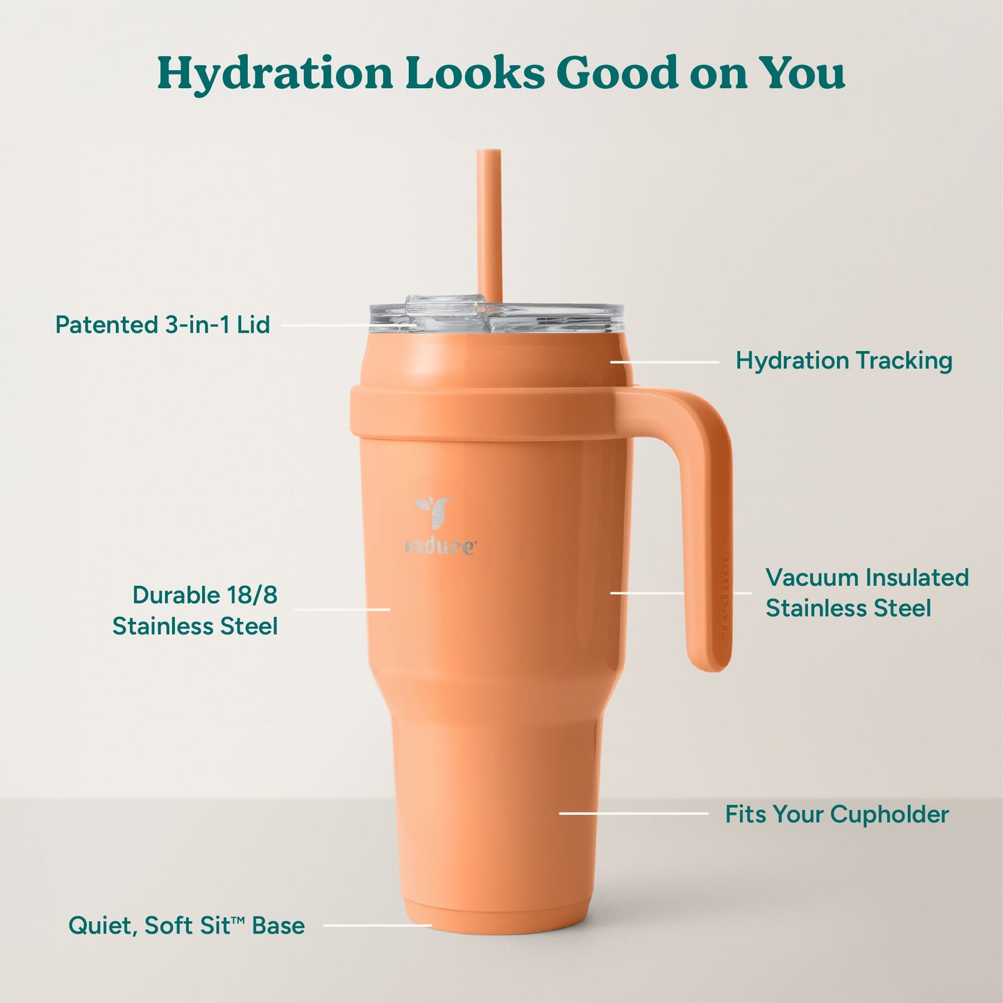 cold1-40-oz-l6 Cold1_40oz_Papaya_Infographic_2.jpg