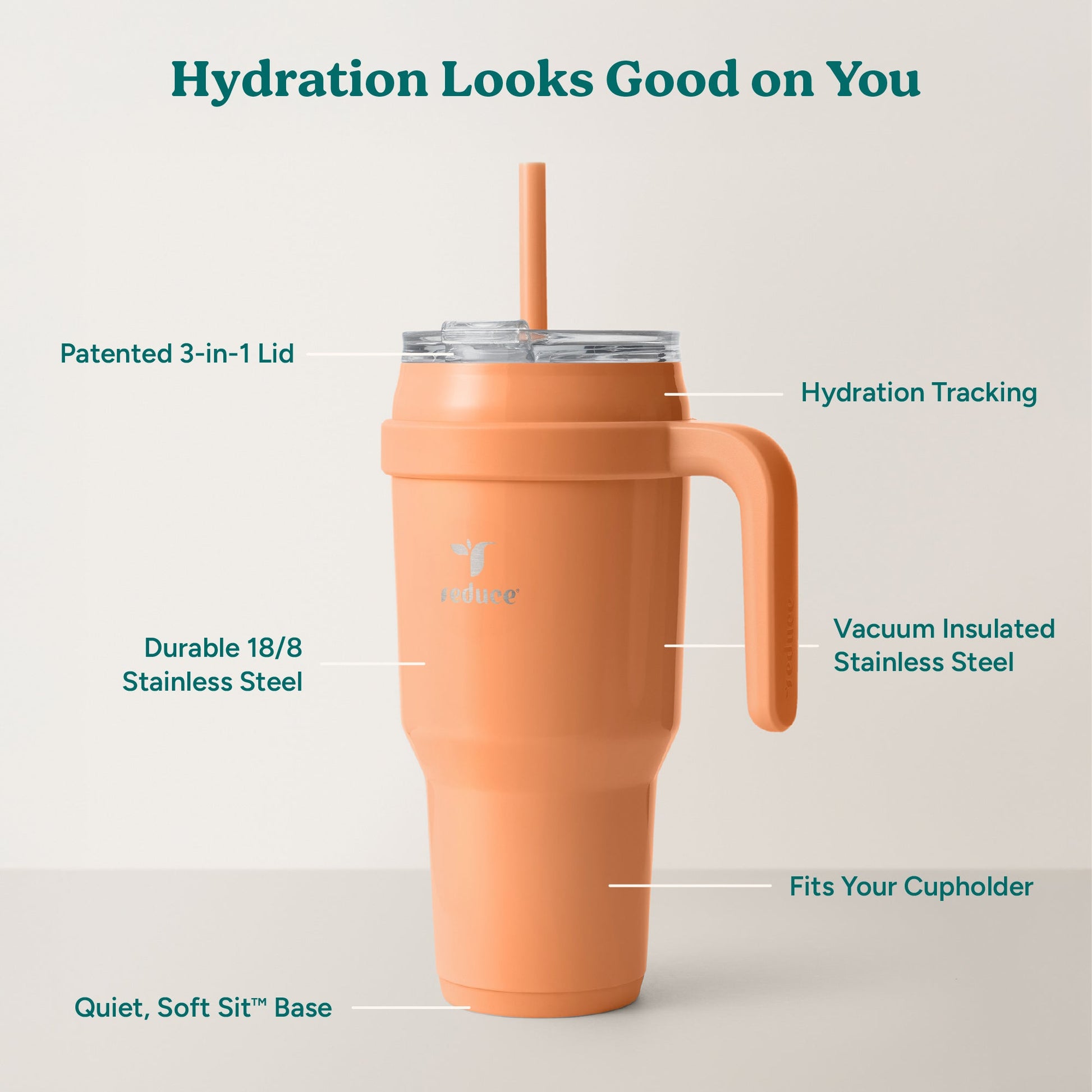 cold1-40-oz-l6 Cold1_40oz_Papaya_Infographic_2.jpg