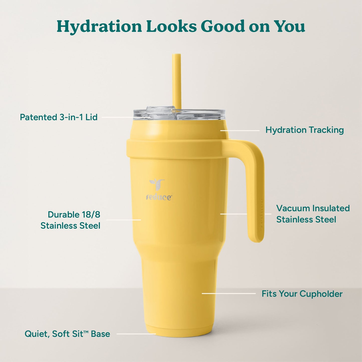 cold1-40-oz-l6 Cold1_40oz_Pineapple_Infographic_2.jpg