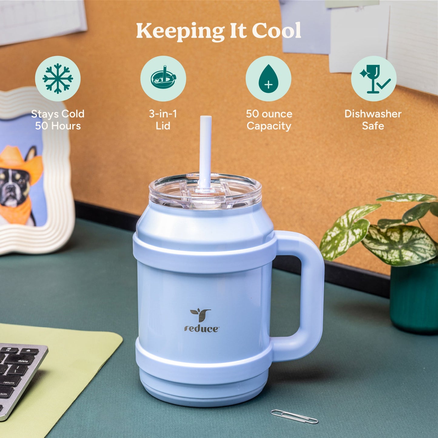 cold1-desktop-50-oz-f9 Cold1_50oz_Desktop_LilacBud_Infographic_1.jpg