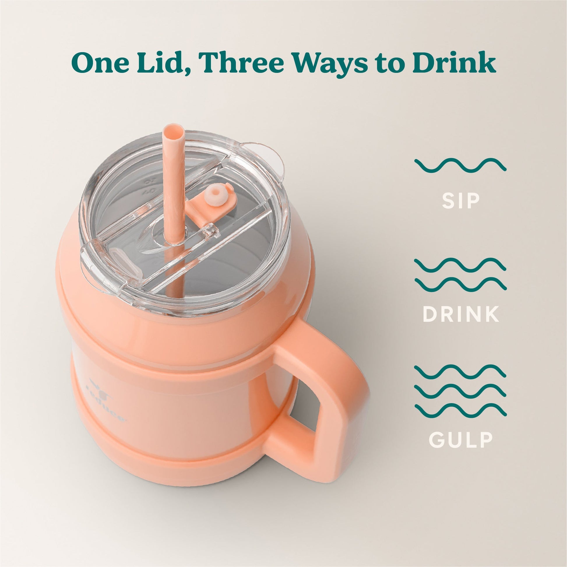 cold1-desktop-50-oz-f9 Cold1_50oz_Desktop_Sedona_Infographic_3.jpg
